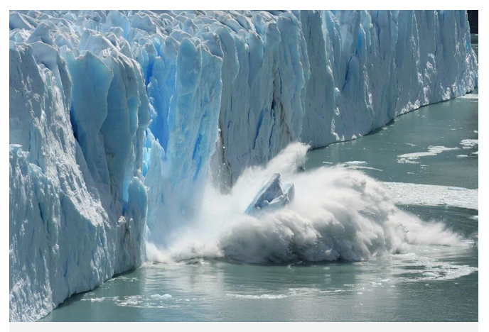 Balıklar kanser oldu: Yayılma ve bulaşmada etkili olabilir - Resim: 6