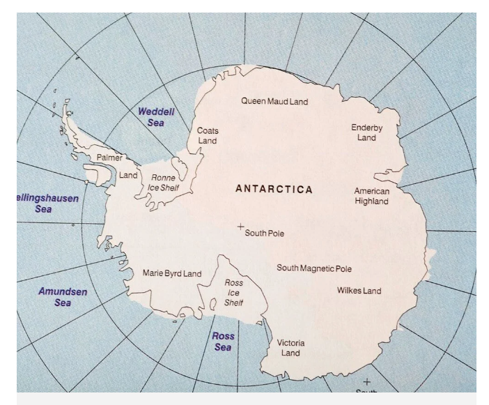 Balıklar kanser oldu: Yayılma ve bulaşmada etkili olabilir - Resim: 4