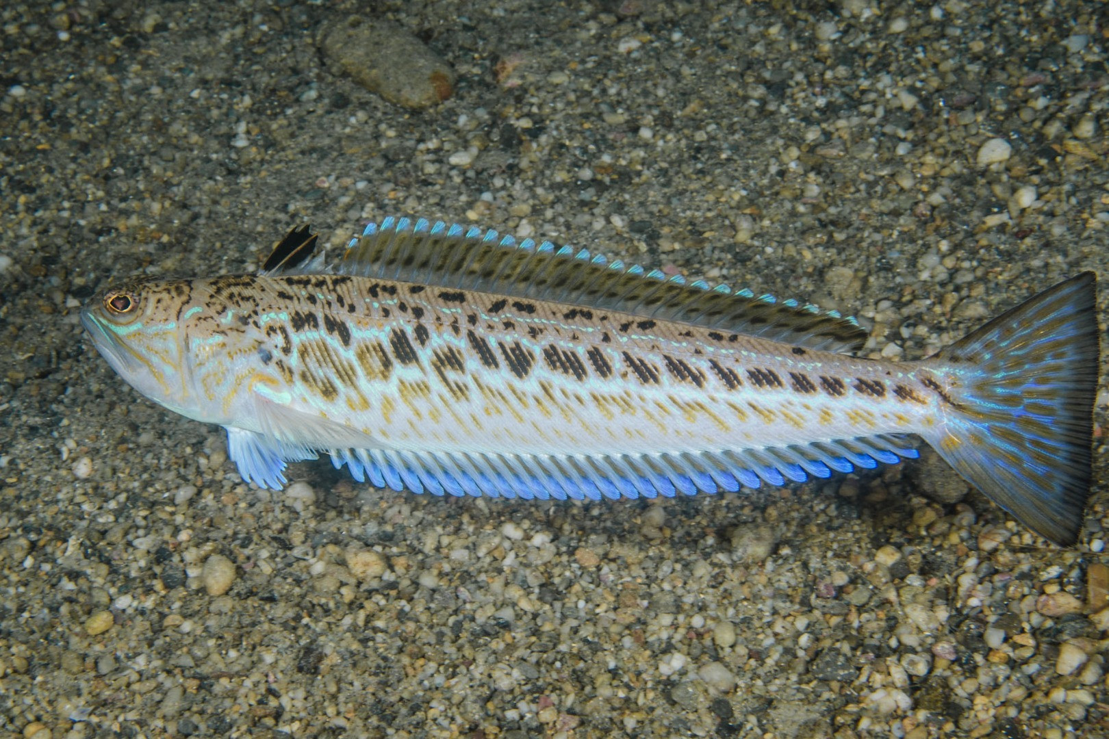 Dünyayı bekleyen büyük tehlikeler tek tek açıklandı - Resim: 19