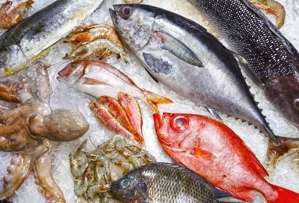 Dünyayı bekleyen büyük tehlikeler tek tek açıklandı - Resim: 20