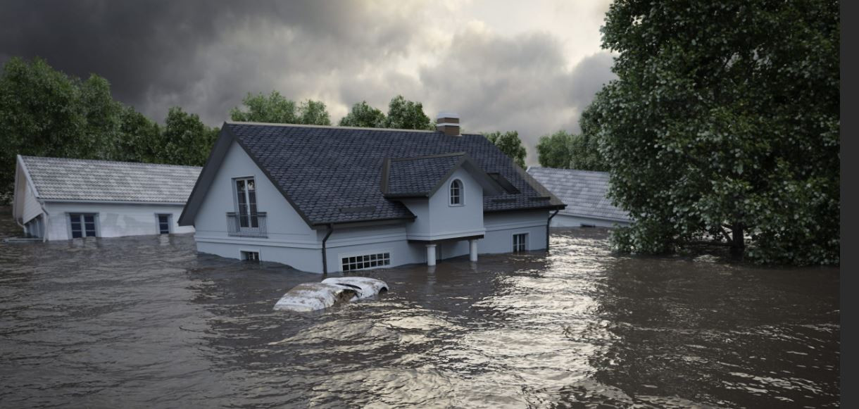 Dünyayı bekleyen büyük tehlikeler tek tek açıklandı - Resim: 42