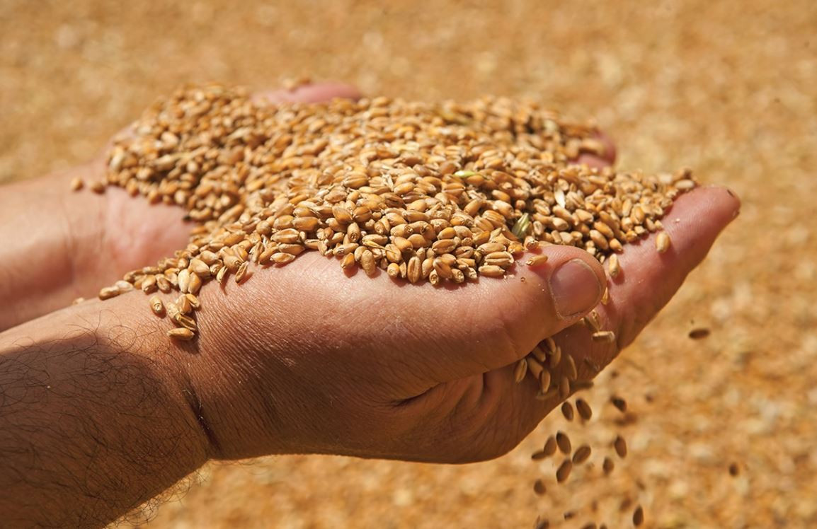 Dünyayı bekleyen büyük tehlikeler tek tek açıklandı - Resim: 23