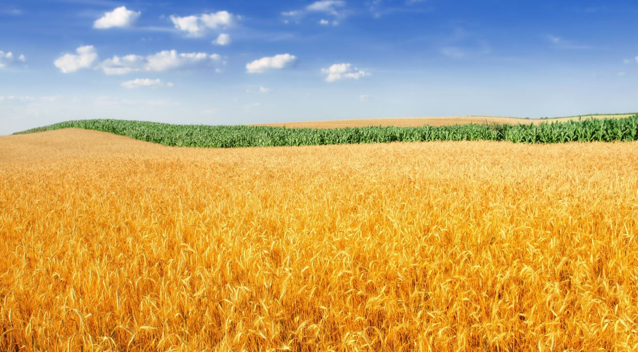 Dünyayı bekleyen büyük tehlikeler tek tek açıklandı - Resim: 22