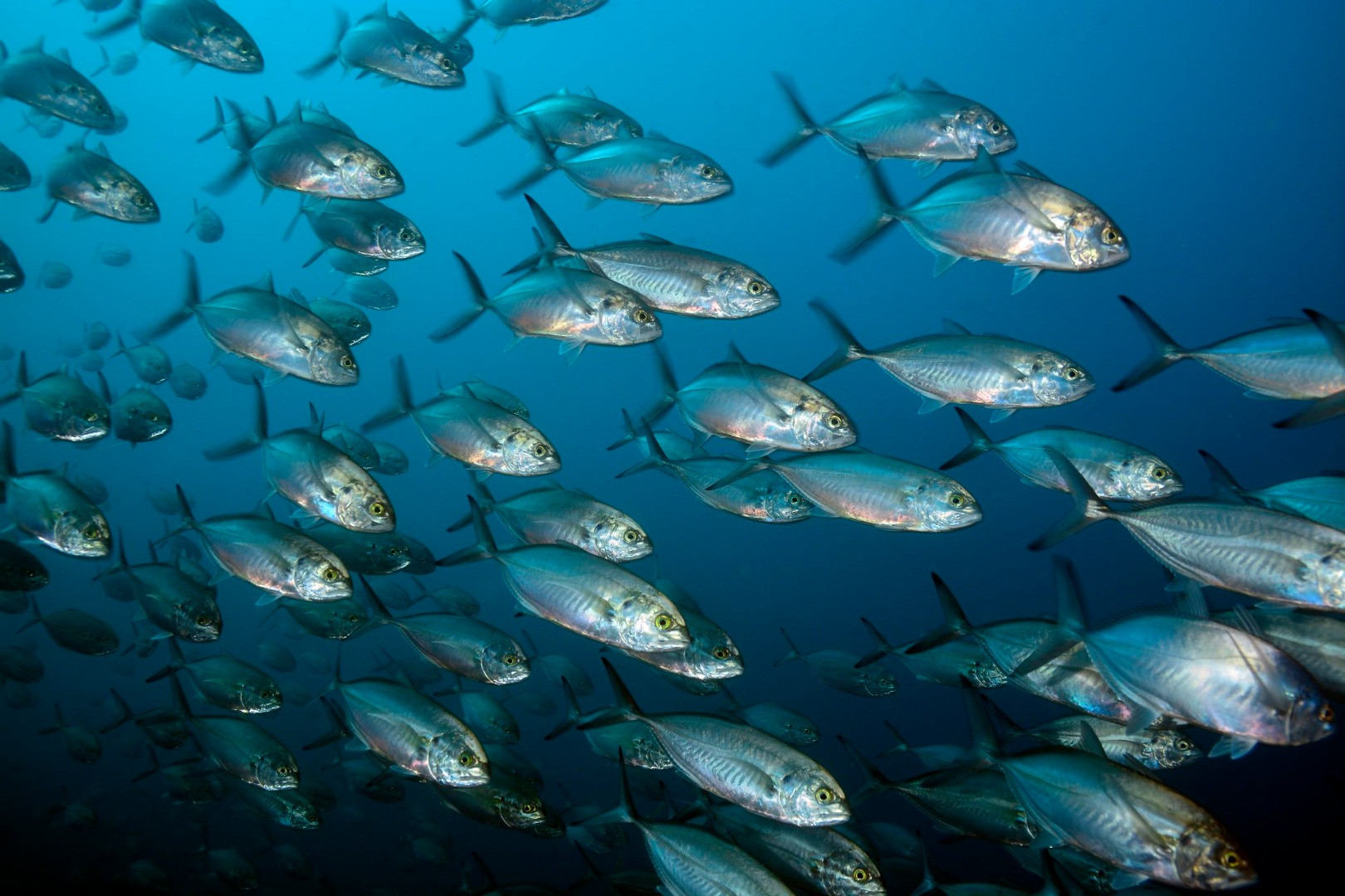 Dünyayı bekleyen büyük tehlikeler tek tek açıklandı - Resim: 17