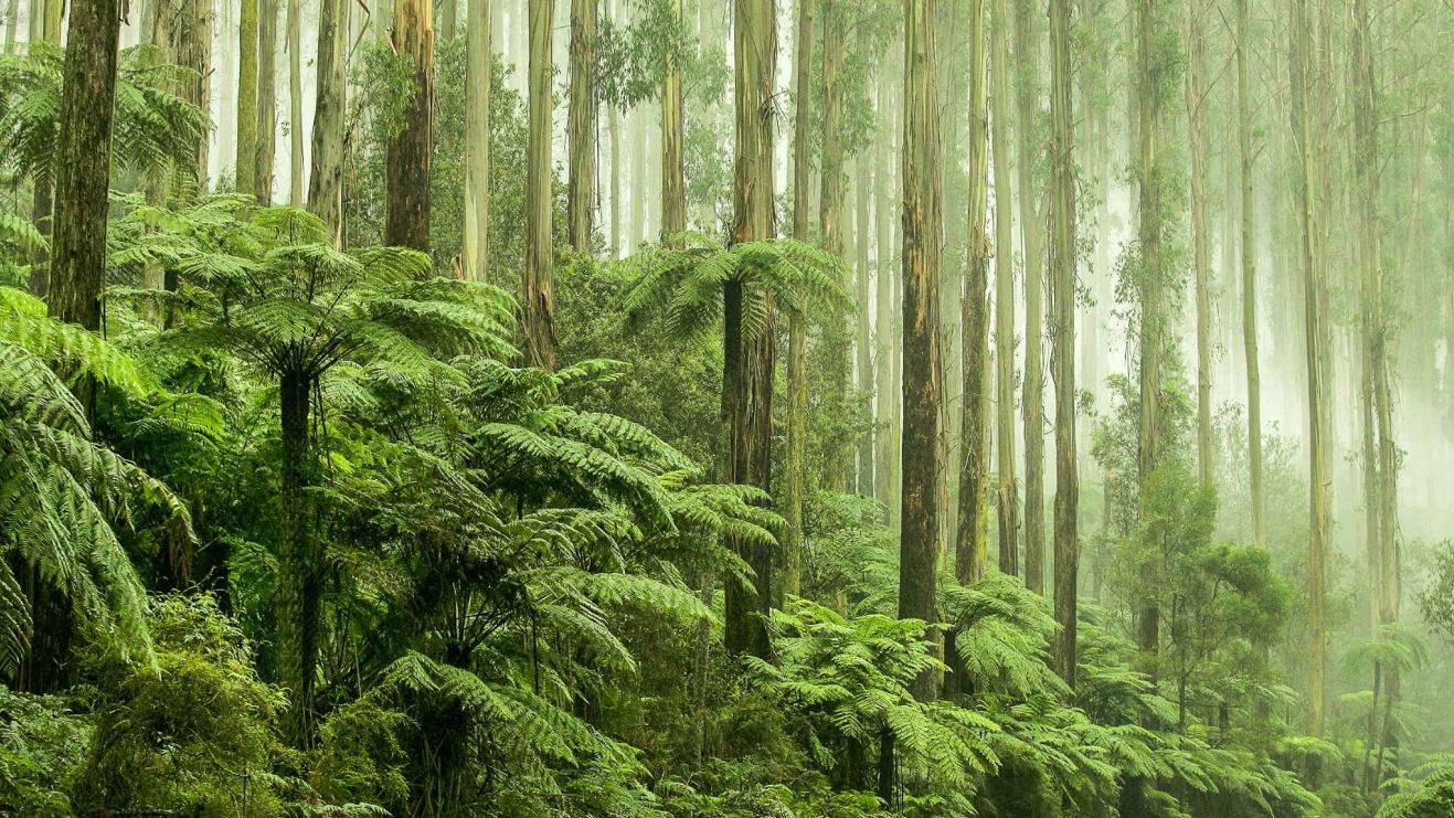 Dünyayı bekleyen büyük tehlikeler tek tek açıklandı - Resim: 25