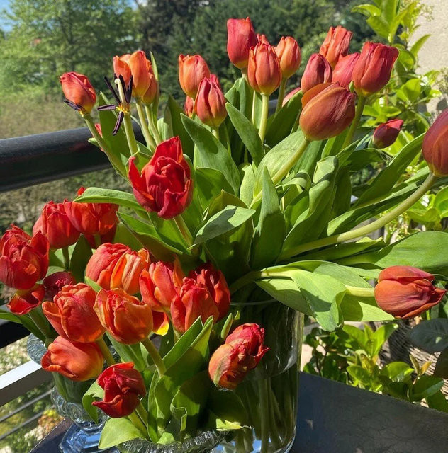 Ünlülerden bayram mesajları - Resim: 12