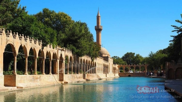 Türkiye'nin nüfus istatistiği açıklandı: Hangi ilin nüfus sayısı diğerlerinden daha fazla - Resim: 19