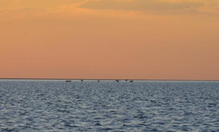 Flamingo cennetinde büyüleyen manzara - Resim: 8