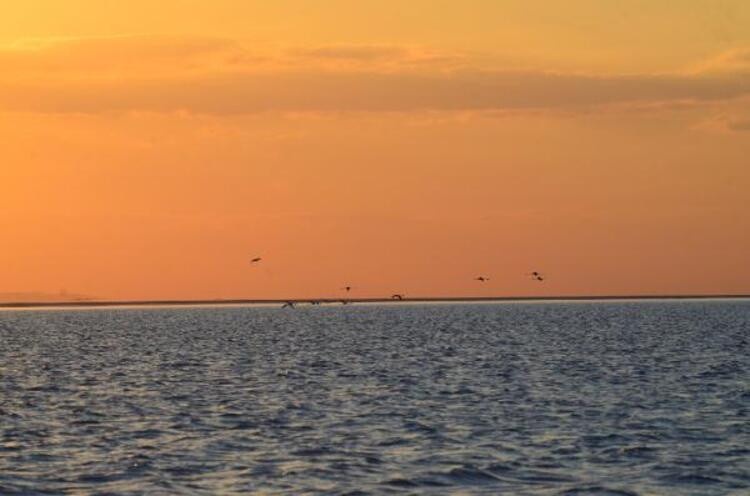 Flamingo cennetinde büyüleyen manzara - Resim: 7