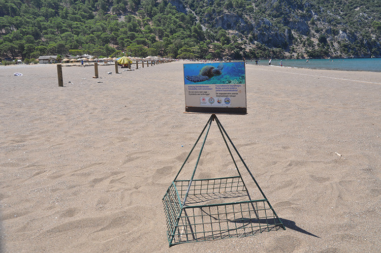 Caretta caretta yavruları mavi sularla buluşmaya başladı - Resim: 3