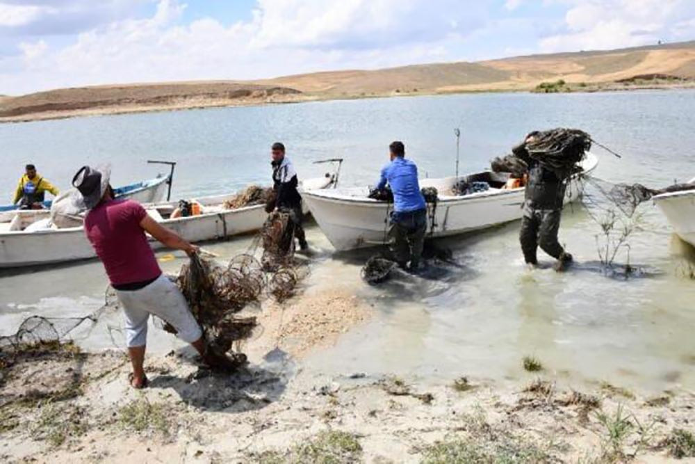 Hirfanlı'da 'hayalet ağ' katliamı! Deniz altında ölüm saçıyorlar…. - Resim: 13
