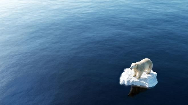 Kör kahin Baba Vanga’nın son kehaneti korkuttu. Olacakların ne zaman gerçekleşeceği belli oldu - Resim: 12