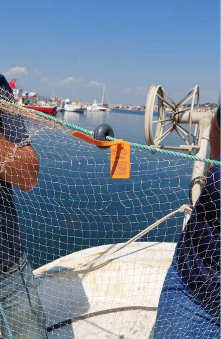 Hayalet ağlara barkodlu çözüm - Resim: 5