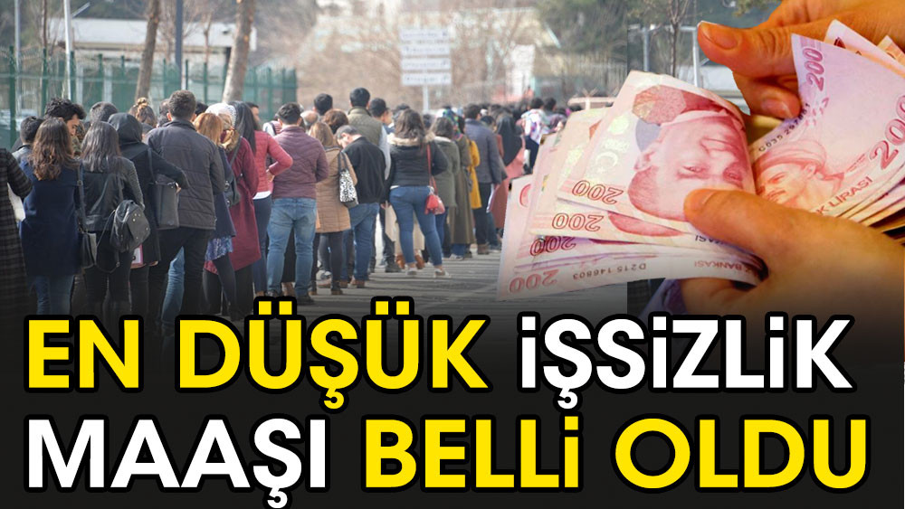 En düşük işsizlik maaşı belli oldu - Resim: 1