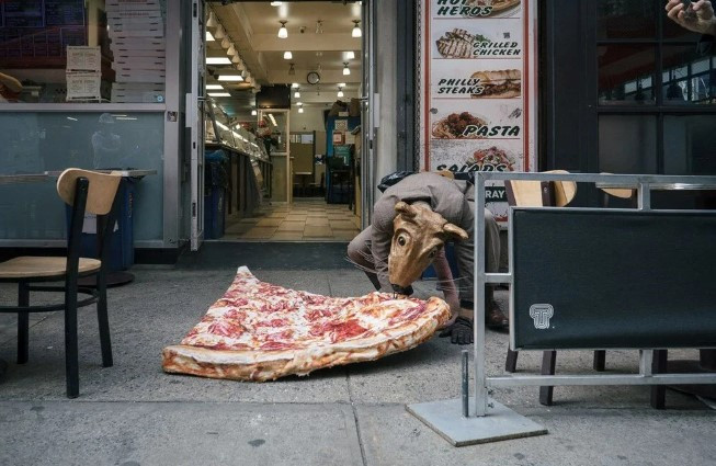 Koca şehri fareler bastı. Belediye 3 milyon lira maaşla “sıçan şefi” arıyor - Resim: 3