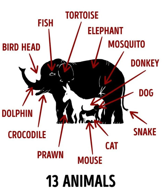 Sadece yüksek IQ'lu kişiler bu testleri çözebiliyor - Resim: 49