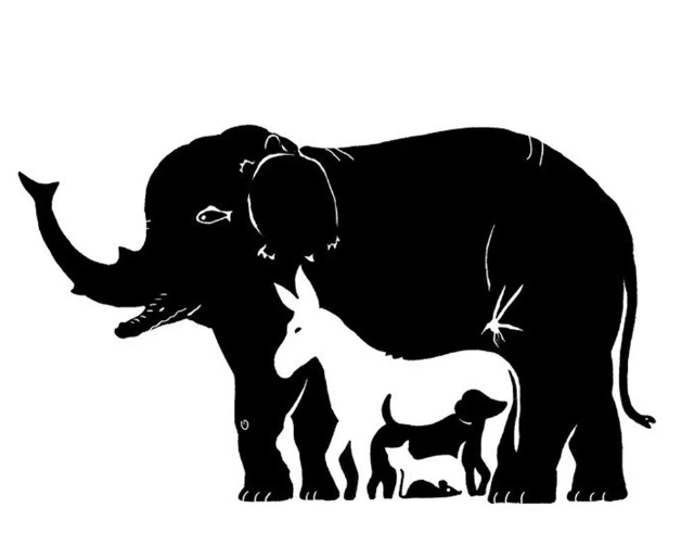 Sadece yüksek IQ'lu kişiler bu testleri çözebiliyor - Resim: 48