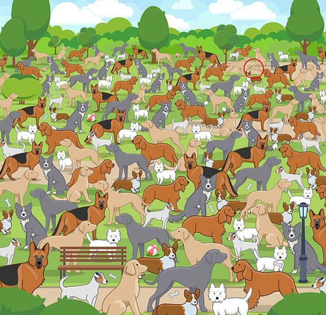 Sadece yüksek IQ'lu kişiler bu testleri çözebiliyor - Resim: 25