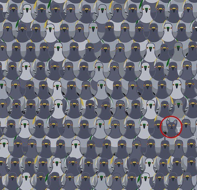 Sadece yüksek IQ'lu kişiler bu testleri çözebiliyor - Resim: 23