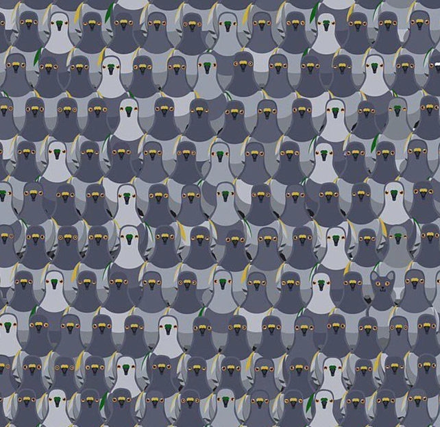 Sadece yüksek IQ'lu kişiler bu testleri çözebiliyor - Resim: 22