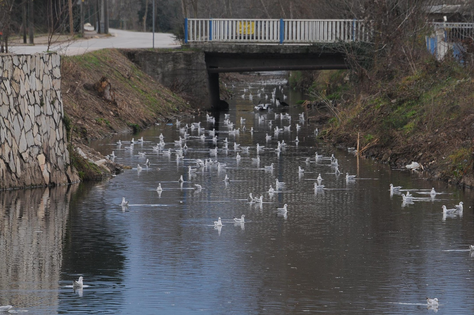 Dere yine simsiyah akıyor. Geçen ay da bir fabrikanın faaliyetleri men edilmişti - Resim: 3