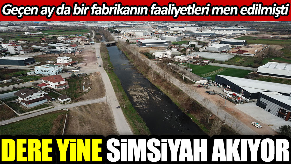 Dere yine simsiyah akıyor. Geçen ay da bir fabrikanın faaliyetleri men edilmişti - Resim: 1
