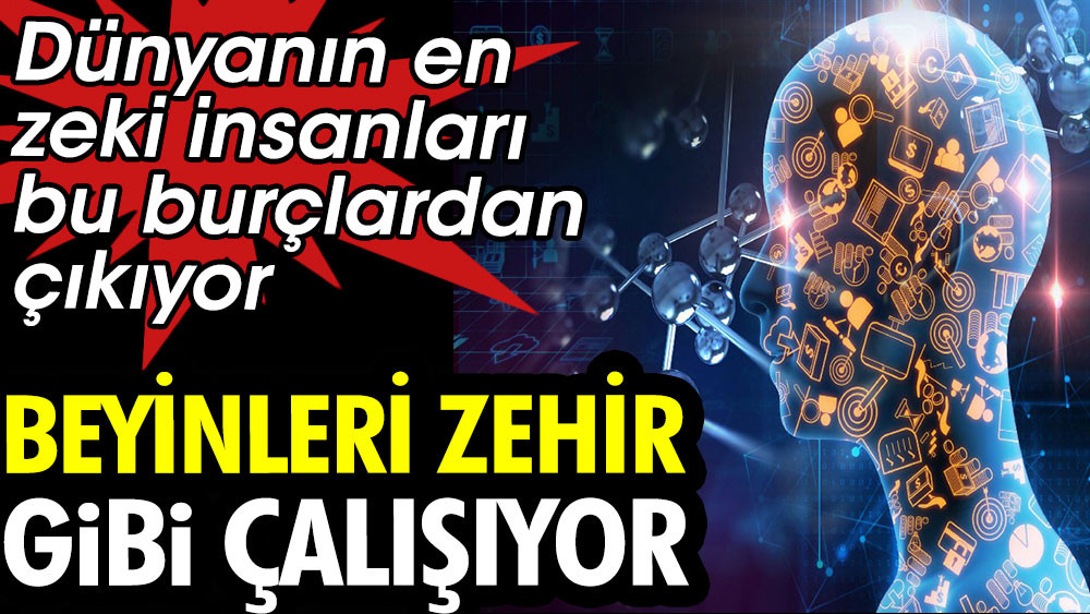 Bu 6 burçtaki insanların beyinleri zehir gibi çalışıyor - Resim: 1