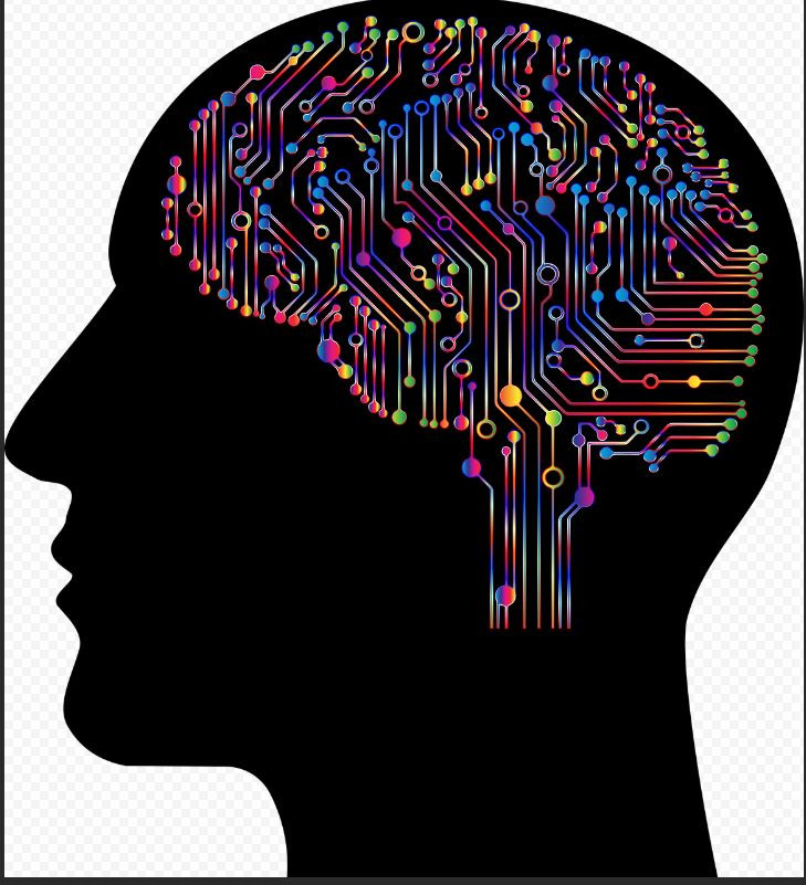 Bu 6 burçtaki insanların beyinleri zehir gibi çalışıyor - Resim: 14