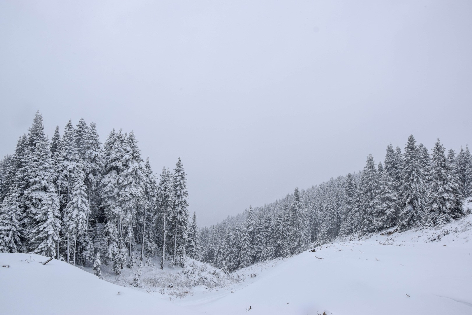 Bozüyük yaylalarından kar manzaraları - Resim: 7