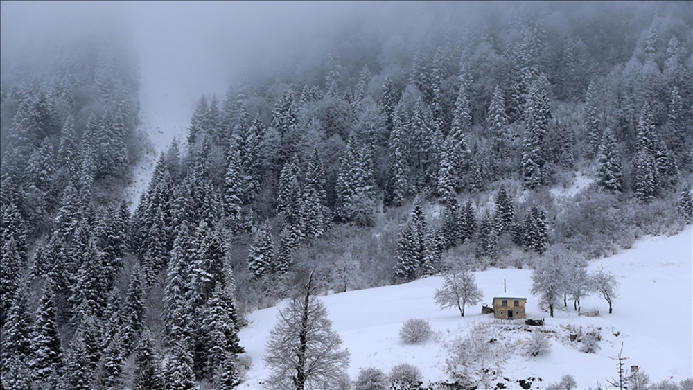 Zigana Dağı'nda kar ve sis etkili oluyor - Resim: 1