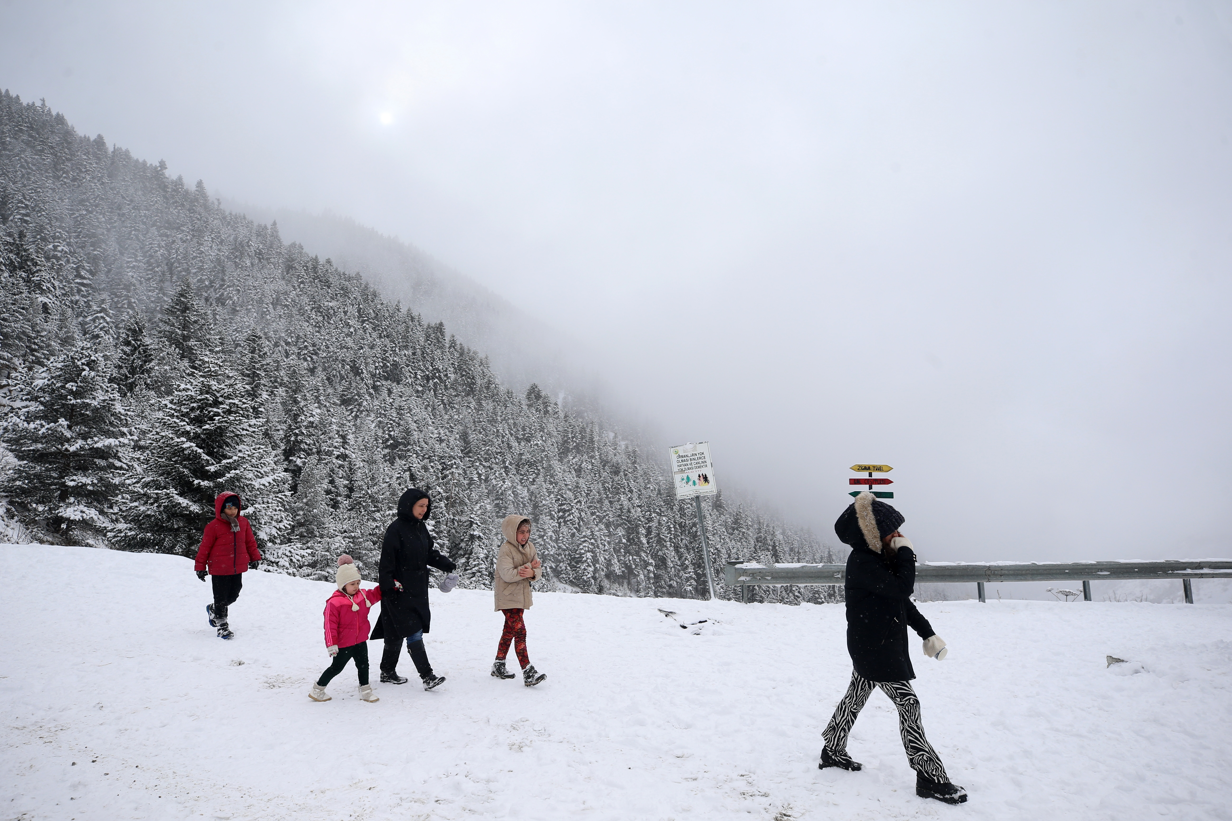 Zigana Dağı'nda kar ve sis etkili oluyor - Resim: 17