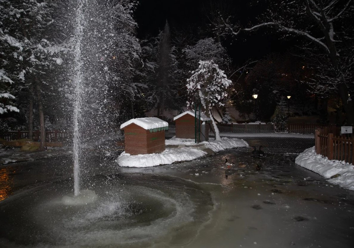 Kuğulu Park'taki havuz buz tuttu - Resim: 6