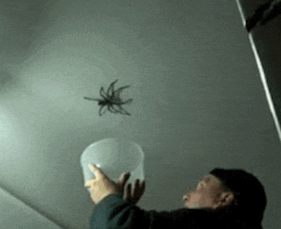 Erkekler arasında yazılı olmayan kurallar. Kadınlardan sır gibi saklıyorlar - Resim: 7