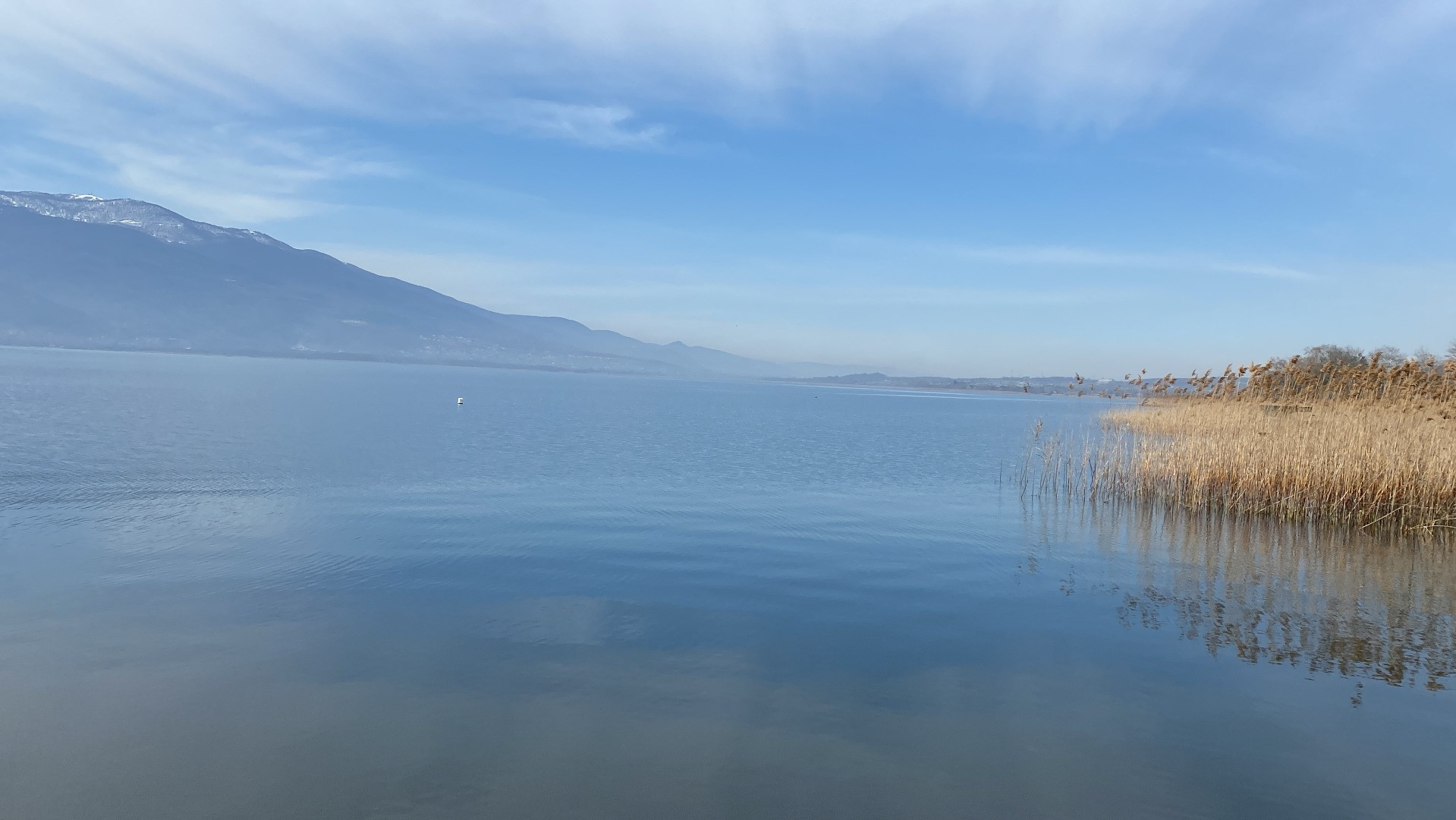 Sapanca Gölü'nde sevindiren haber - Resim: 2