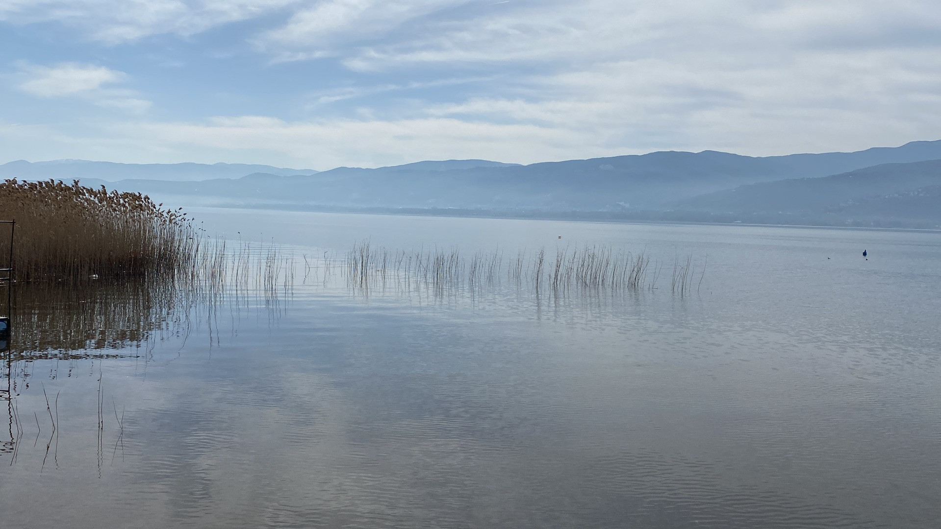 Sapanca Gölü'nde sevindiren haber - Resim: 3
