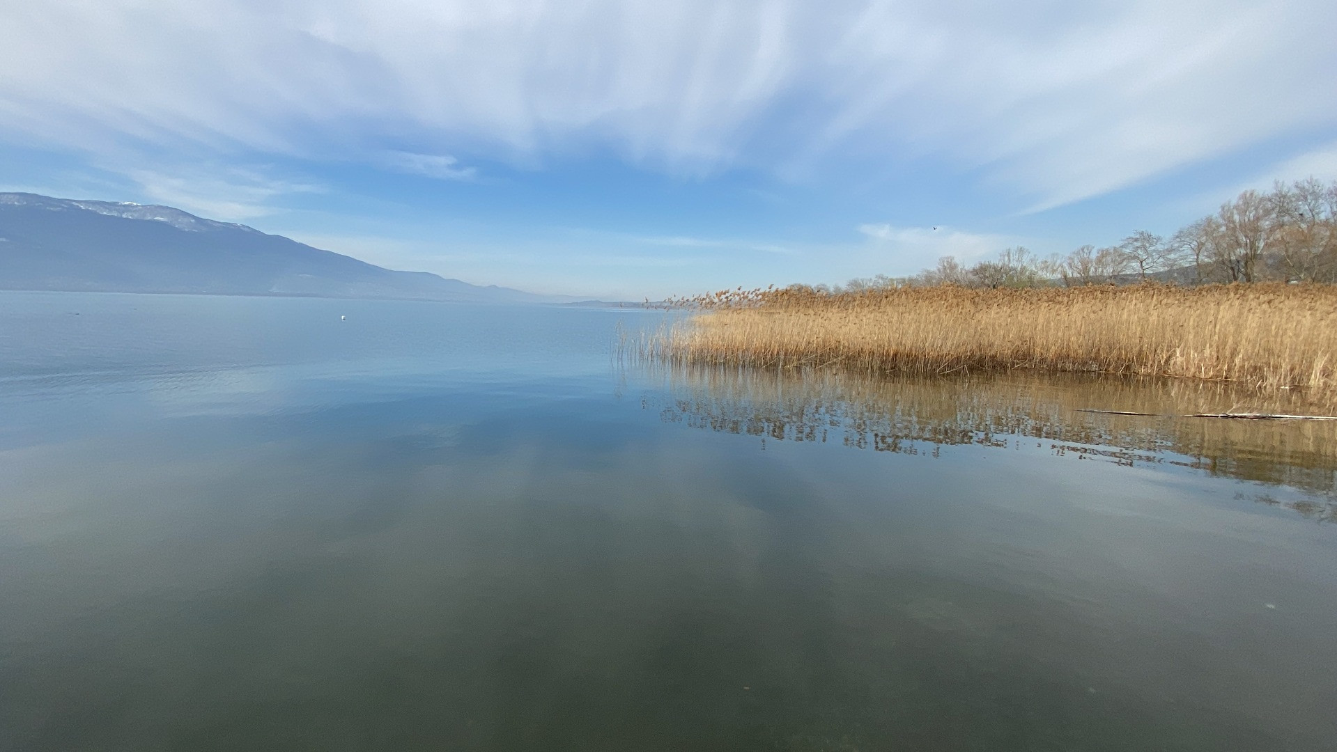 Sapanca Gölü'nde sevindiren haber - Resim: 1