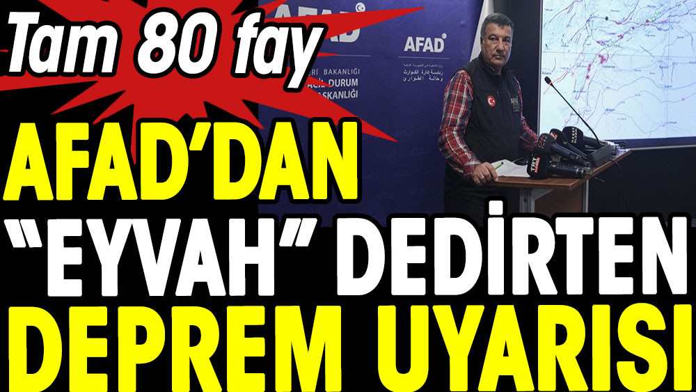 AFAD'dan eyvah dedirten deprem uyarısı. Tam 80 fay - Resim: 1