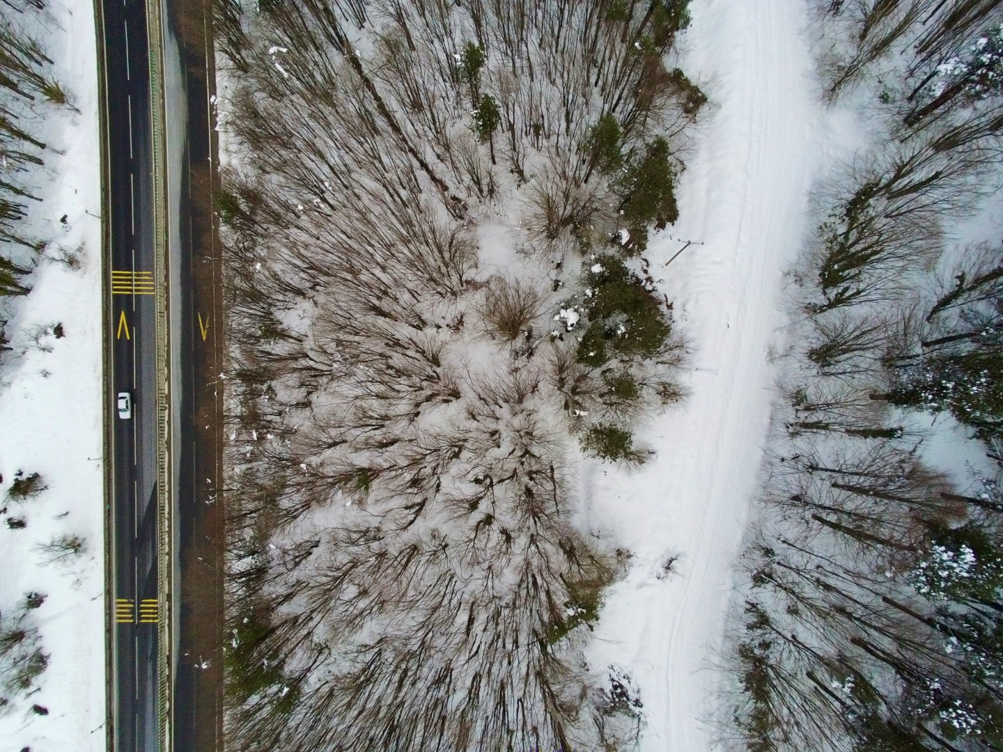 Bolu Dağı'nda kar manzarası havadan görüntülendi - Resim: 2