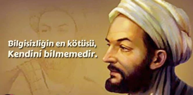 Rüyada baykuş görmek ne anlama geliyor? Rüyada baykuş görmenin anlamı nedir? - Resim: 8