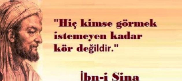 Rüyada baykuş görmek ne anlama geliyor? Rüyada baykuş görmenin anlamı nedir? - Resim: 11