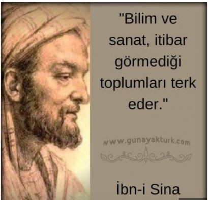 Rüyada baykuş görmek ne anlama geliyor? Rüyada baykuş görmenin anlamı nedir? - Resim: 13
